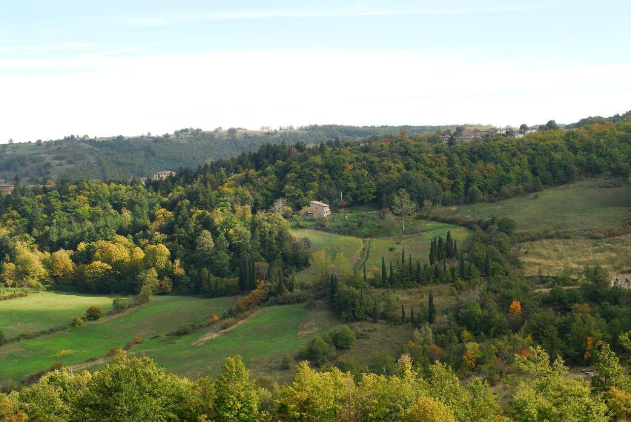 A Stay Surrounded By Greenery - Agriturismo La Piaggia - App 2 Bathrooms Vivo dʼOrcia Eksteriør billede