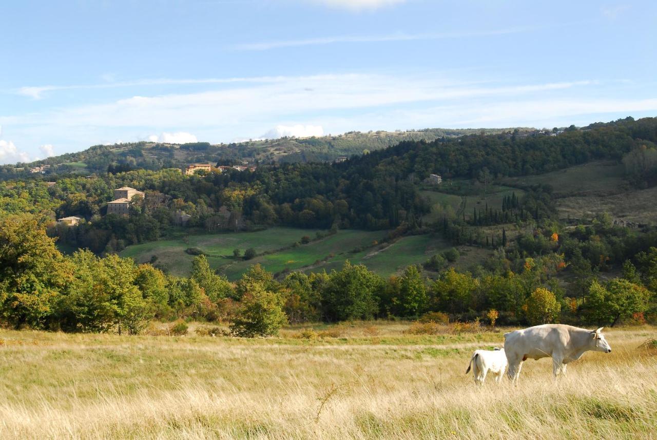 A Stay Surrounded By Greenery - Agriturismo La Piaggia - App 2 Bathrooms Vivo dʼOrcia Eksteriør billede