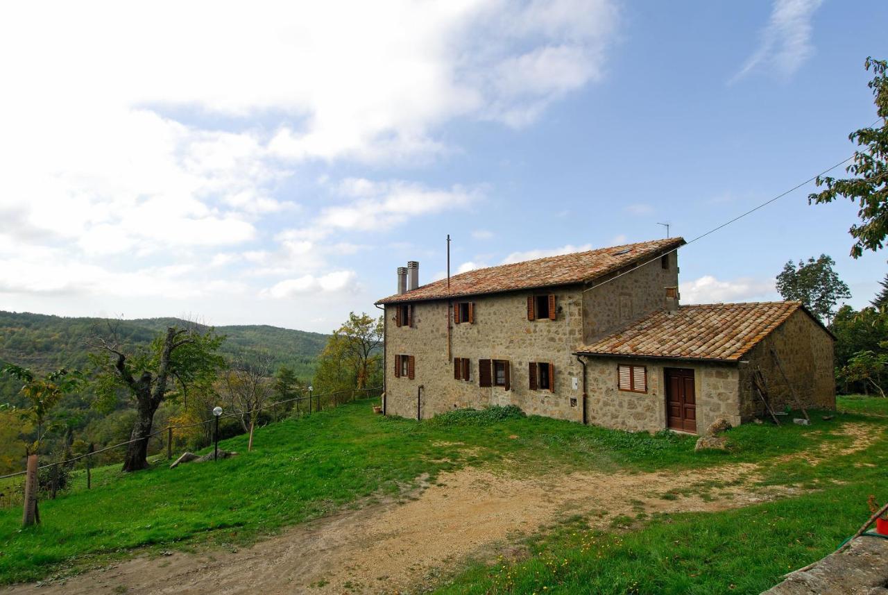 A Stay Surrounded By Greenery - Agriturismo La Piaggia - App 2 Bathrooms Vivo dʼOrcia Eksteriør billede