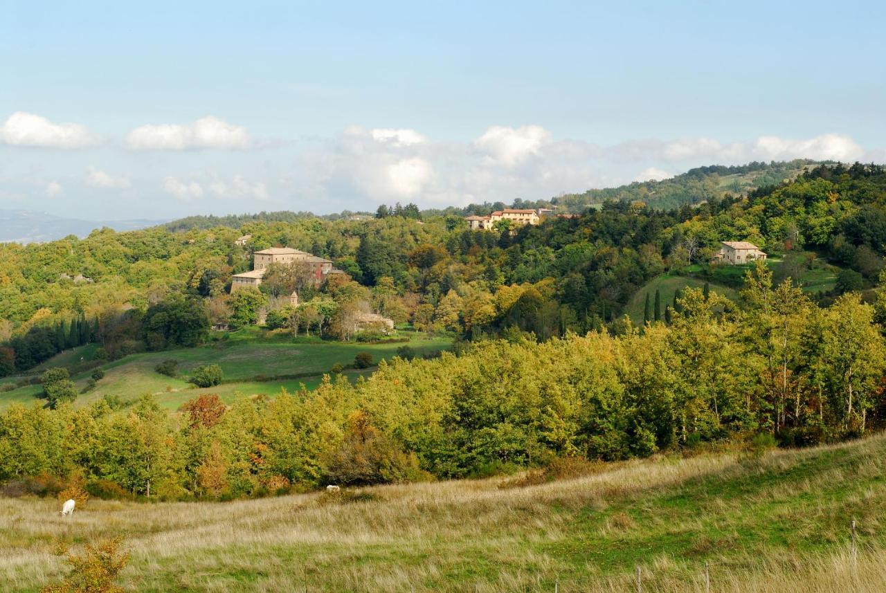 A Stay Surrounded By Greenery - Agriturismo La Piaggia - App 2 Bathrooms Vivo dʼOrcia Eksteriør billede