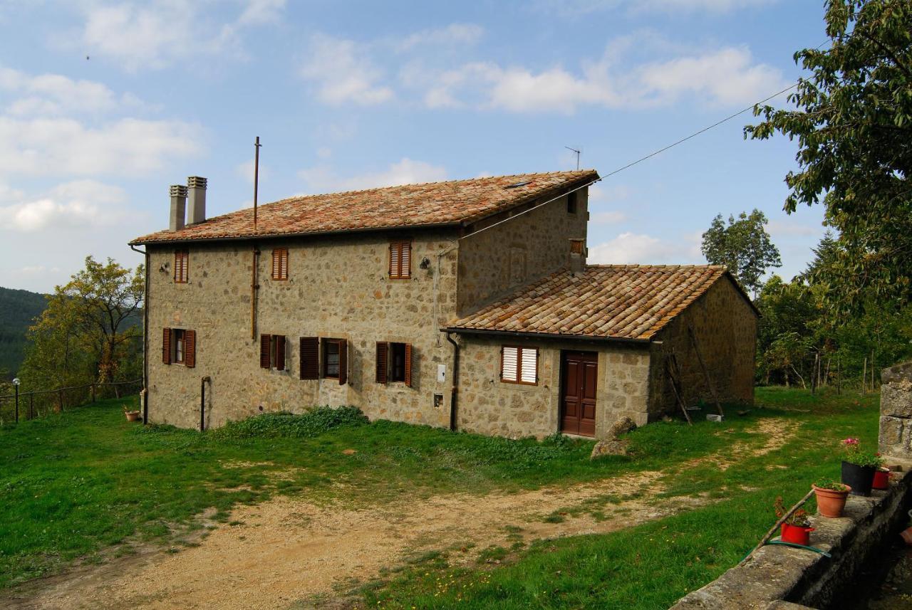 A Stay Surrounded By Greenery - Agriturismo La Piaggia - App 2 Bathrooms Vivo dʼOrcia Eksteriør billede