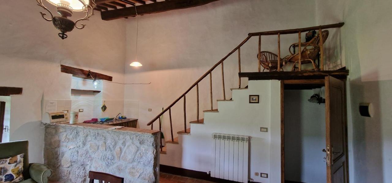 A Stay Surrounded By Greenery - Agriturismo La Piaggia - App 2 Bathrooms Vivo dʼOrcia Eksteriør billede